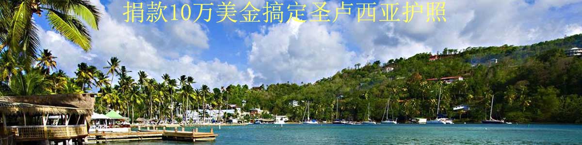捐款10万美金搞定圣卢西亚护照