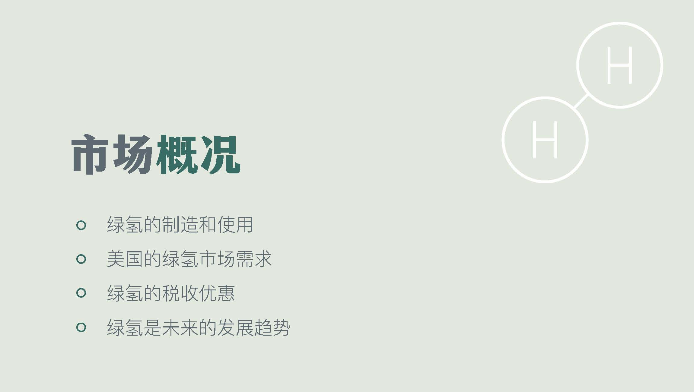 美国CanAm公司绿氢工厂开发EB5项目