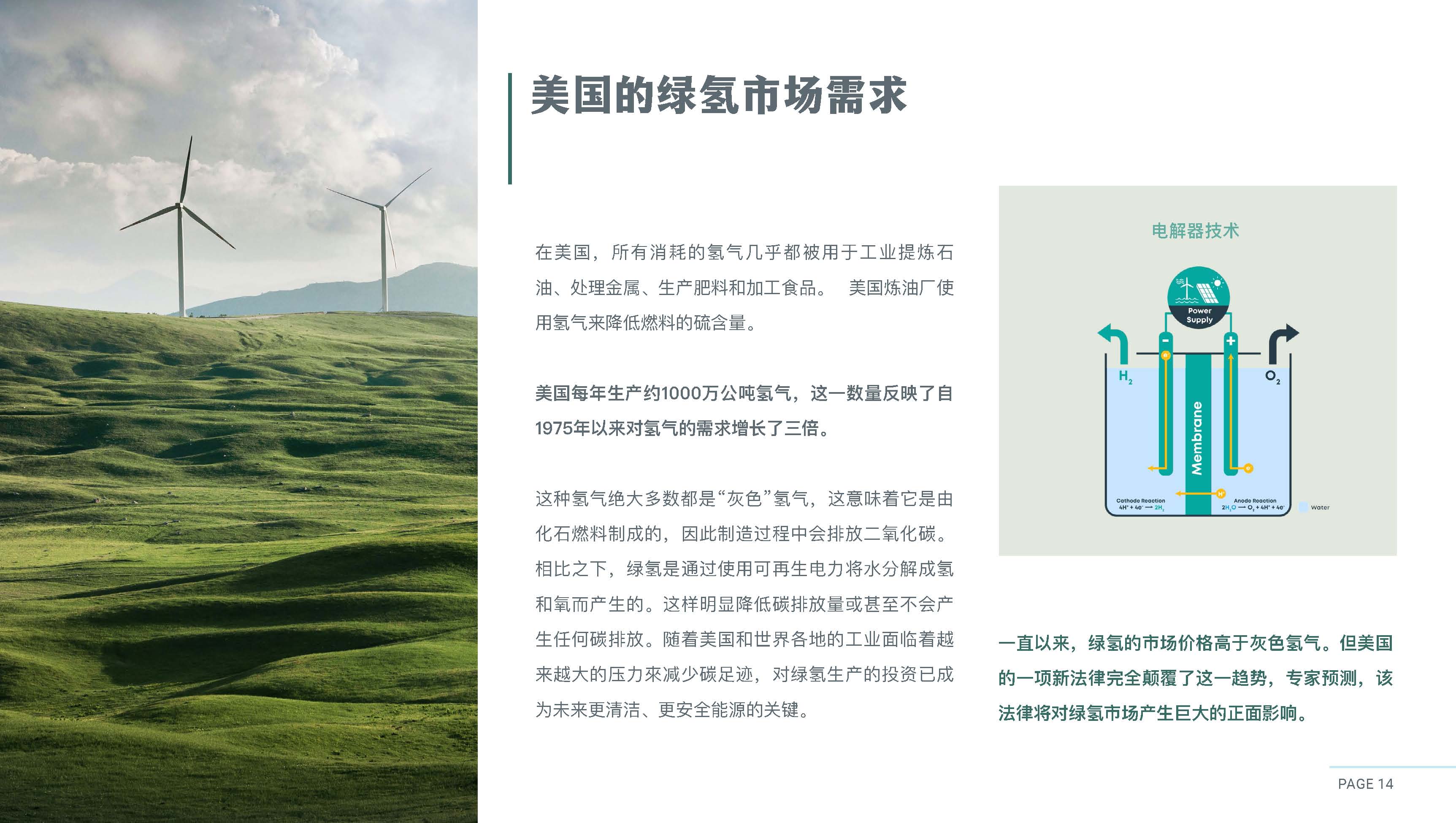 美国CanAm公司绿氢工厂开发EB5项目
